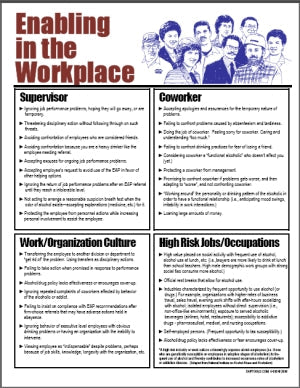 S172V Enabling in the Workplace