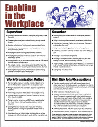S172V Enabling in the Workplace